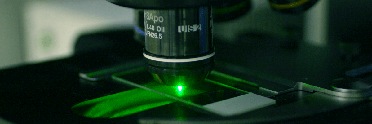 蛍光顕微鏡で観察しているイメージ